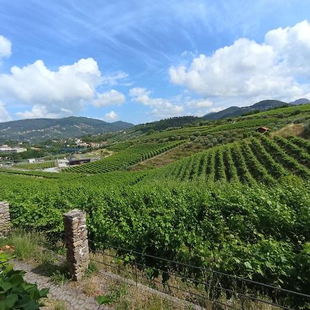 Appartement Al Vigneto à Sestri Levante Extérieur photo