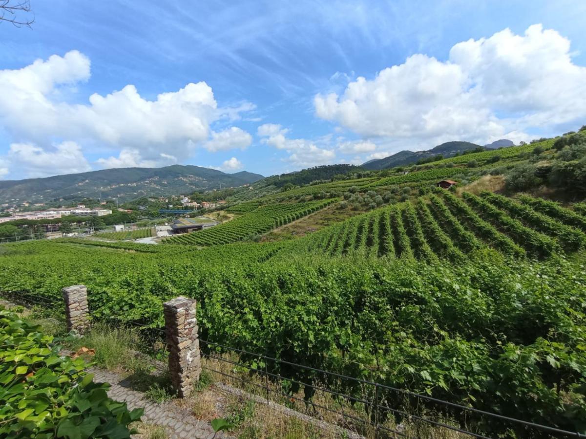 Appartement Al Vigneto à Sestri Levante Extérieur photo