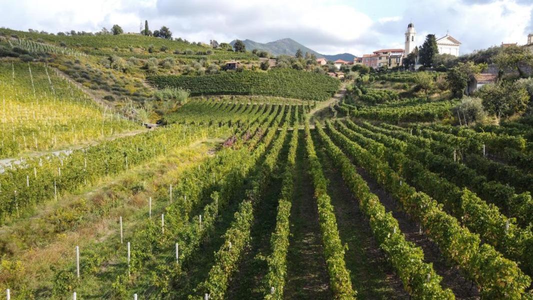 Appartement Al Vigneto à Sestri Levante Extérieur photo